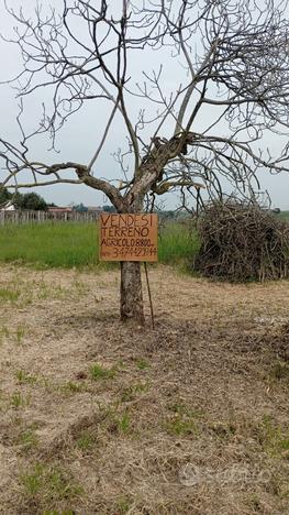 Terreno agricolo 9000