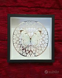 Quadro con farfalla morpho