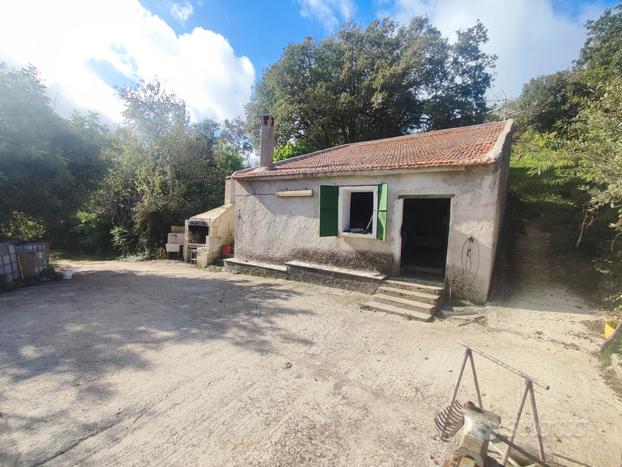 Osilo *Terreno Agricolo con Vigna e Frutteto in Ve