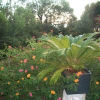 Torre delle Stelle a due minuti dalla spiaggia