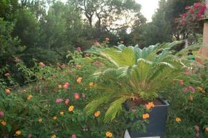 Torre delle Stelle a due minuti dalla spiaggia