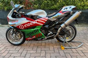 BENELLI TORNADO TRE  1130