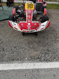 Birel Art S11