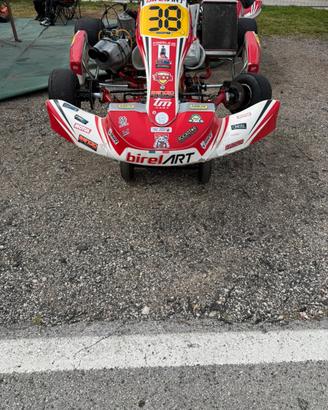 Birel Art S11