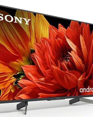 Smart TV Sony 49 pollici