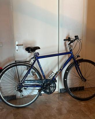 bicicletta  uomo 