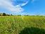 Immagine 27