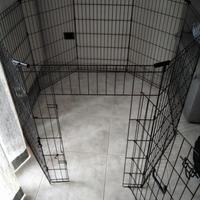 recinto per cani