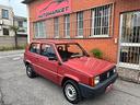 fiat-panda-1100-i-e-cat-young