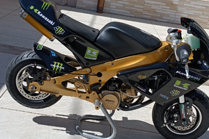 Polini 911 Dreams bike