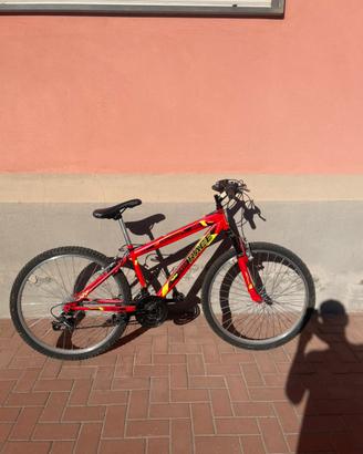 Bici Mountain bike