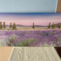 Quadro paesaggio campi di lavanda, Provenza