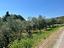 Immagine 14