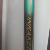 Canna Ripartita Daiwa made UK 2pz 4-6oz LEGGI 