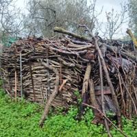 Legna di ulivo da ardere
