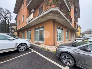 NEGOZIO A GUIDIZZOLO