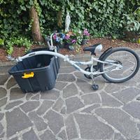 cammellino 3-7 anni