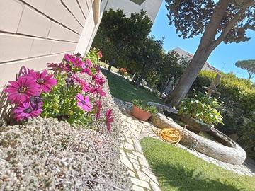 16--31 LUGLIO per INTERO in CENTRO 50mt dal MARE