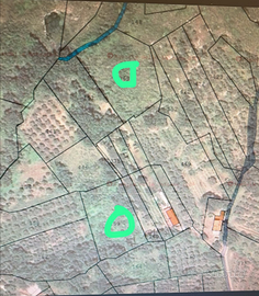 Terreno Agricolo 6700Mq a Calvi Risorta (CE)