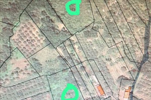 Terreno Agricolo 6700Mq a Calvi Risorta (CE)