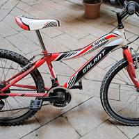 Bicicletta ragazzino ruote 24 pollici