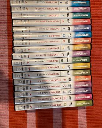 DVD I SOPRAVVISSUTI
