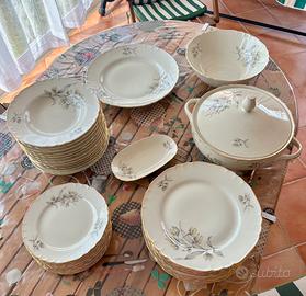 Servizio piatti Richard Ginori