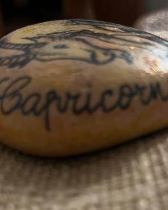 Sasso decorato a mano segno zodiacale Capricorno