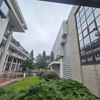 Gorizia, Corso Italia