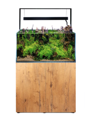 Acquario 250 litri