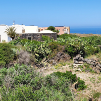 Pantelleria in Dammusi