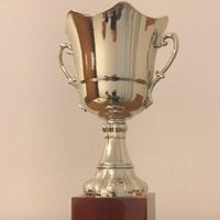 Coppa premio altezza 24.5 base in plastica