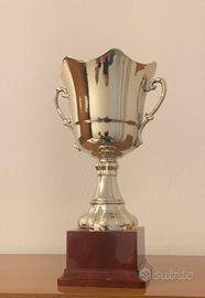 Coppa premio altezza 24.5 base in plastica