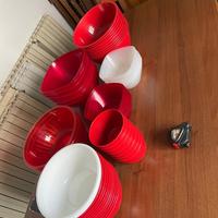 Ciotole plastica