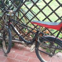 Bici d'epoca donna
