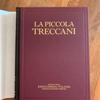 La piccola Treccani