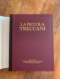 La piccola Treccani