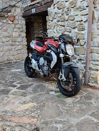 MV Agusta Brutale 800 - 2014