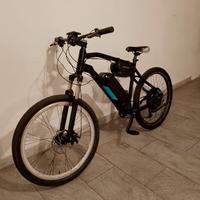 Bici elettrica 1000w