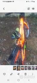 Z BOY bicicl