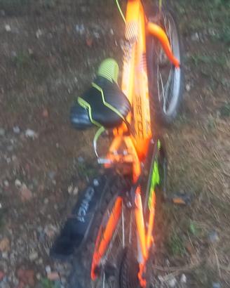 Z BOY bicicl