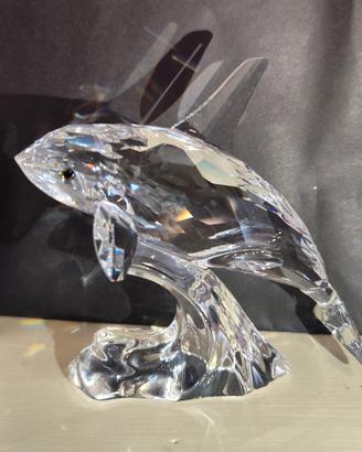 Swarovski orca