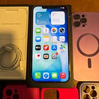 Iphone 12 Pro Max 256GB di memoria