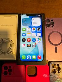 Iphone 12 Pro Max 256GB di memoria