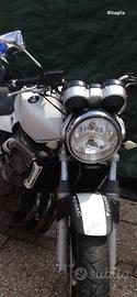 Honda hornet