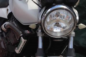 Honda hornet