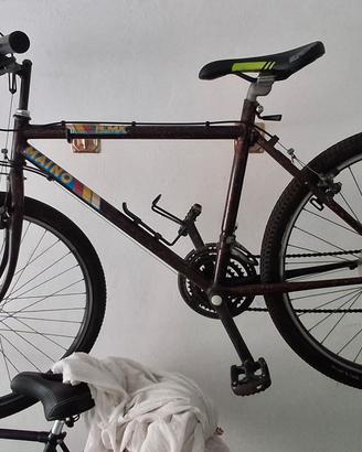 mountain bike MBX