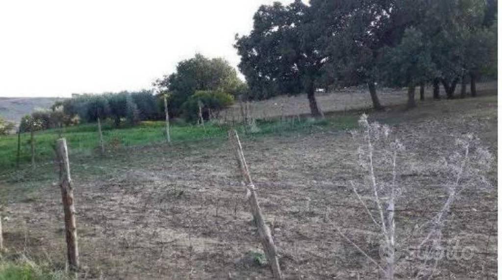 Immobile in asta di 132678 m² a Calascibetta - Altro