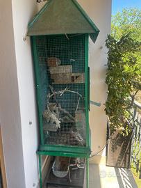 Voliera in ferro