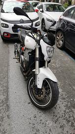 Benelli BN 302 - 2017